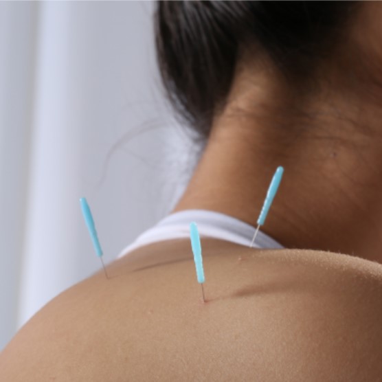 屏幕截图 2022-12-05 171753