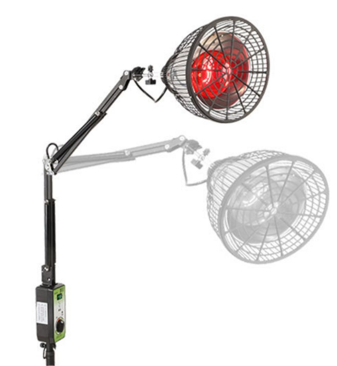 Single Head TDP Infrared Heat Lamp With Philip Red Lamp